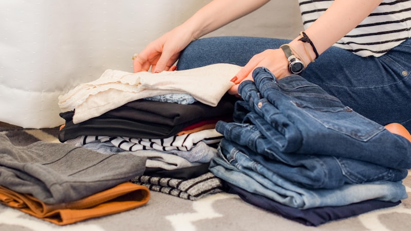 押入れ収納アイデアを実践しやすく整理｜一人暮らしの部屋がすっきり片付く使い方ガイド