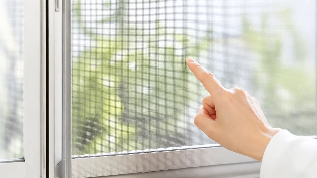 網戸の隙間から虫が入ってくる原因は?すぐできる対策を紹介